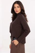 Women Soft Viscose Turtleneck Sweater