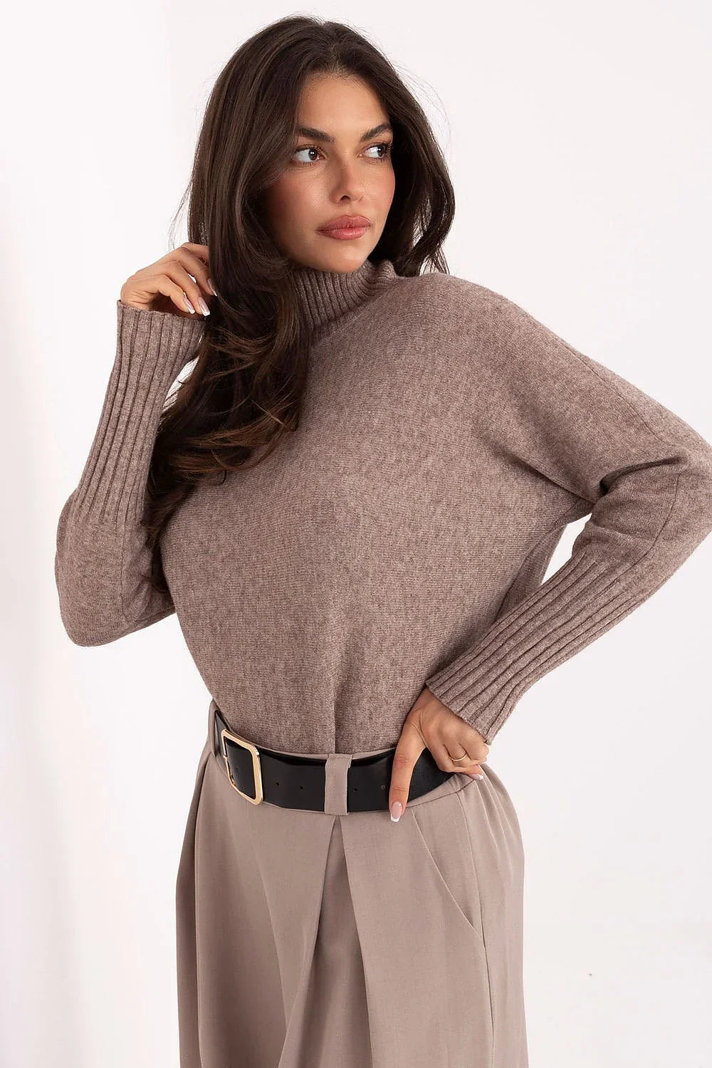 Women Soft Viscose Turtleneck Sweater