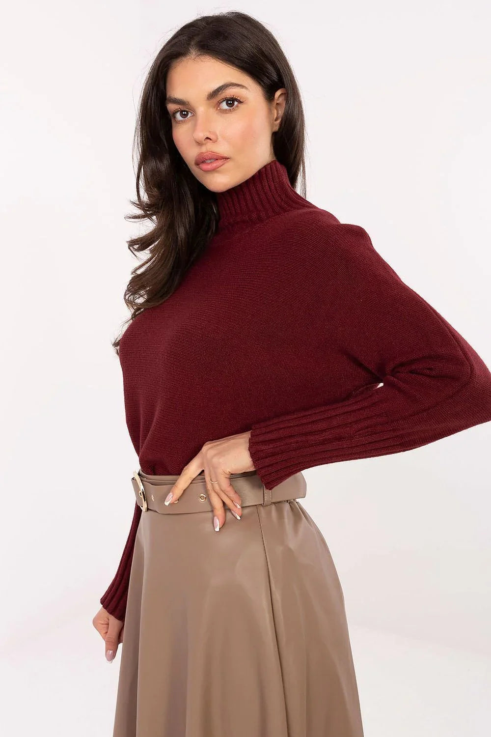 Women Soft Viscose Turtleneck Sweater