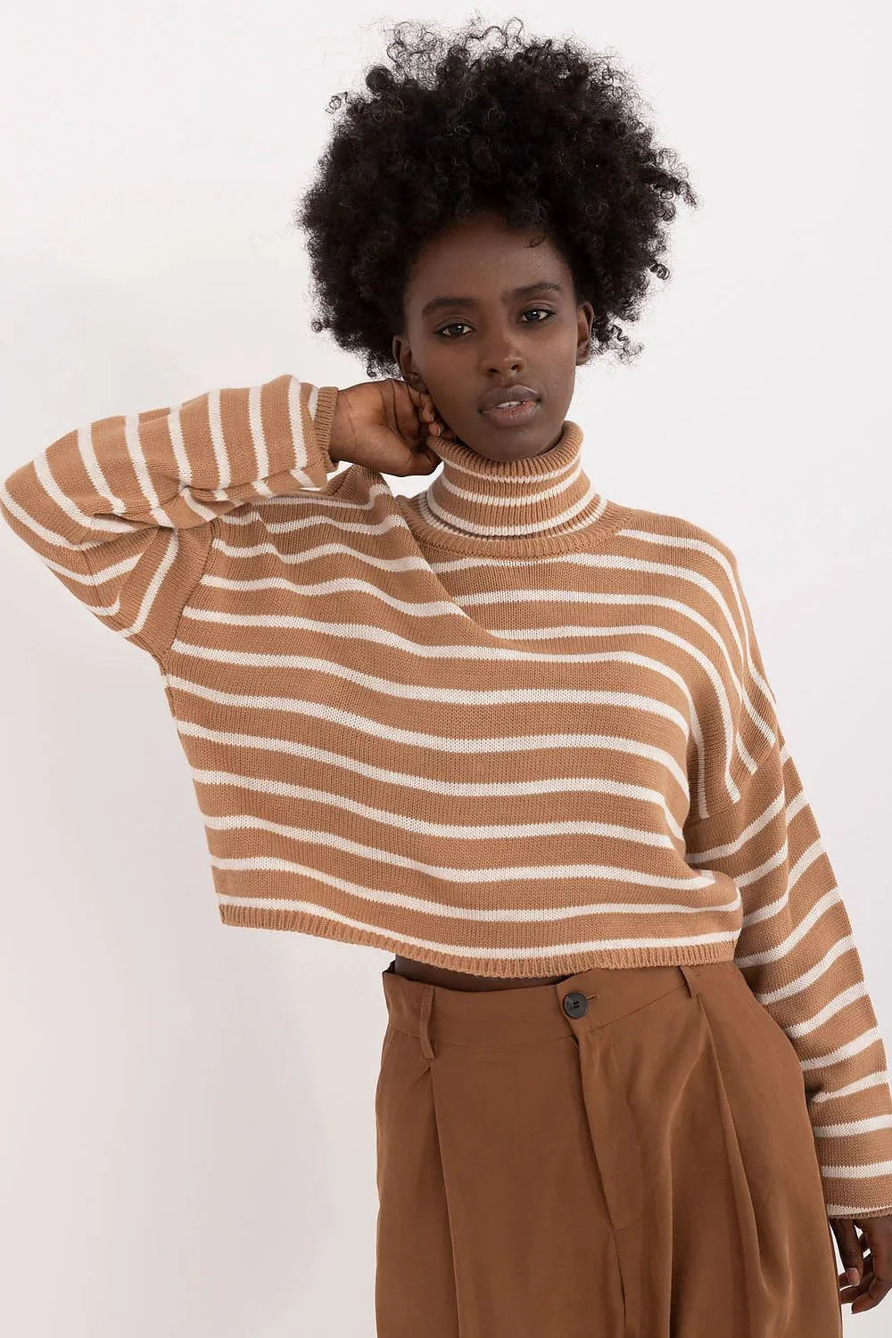 Women Striped Cropped Turtleneck Sweater