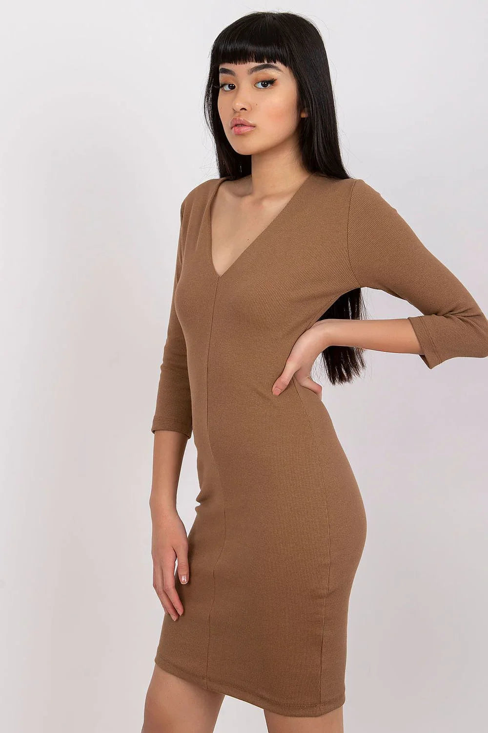Women's Knee-Length Day Dress – Slim With Long Sleeves