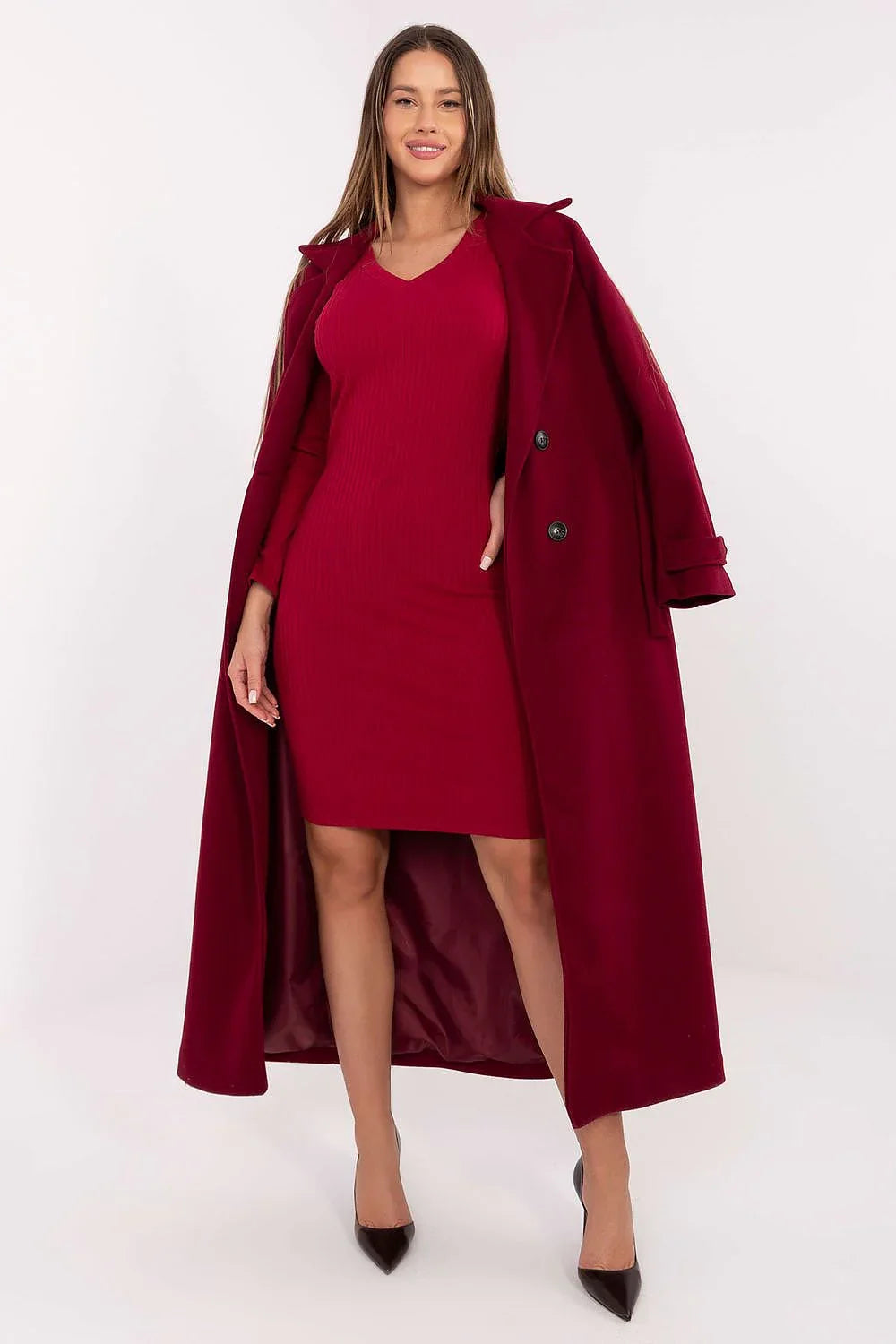 Women's Knee-Length Day Dress – Slim With Long Sleeves