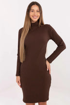 Women's Knee-Length Day Dress – Slim With Long Sleeves