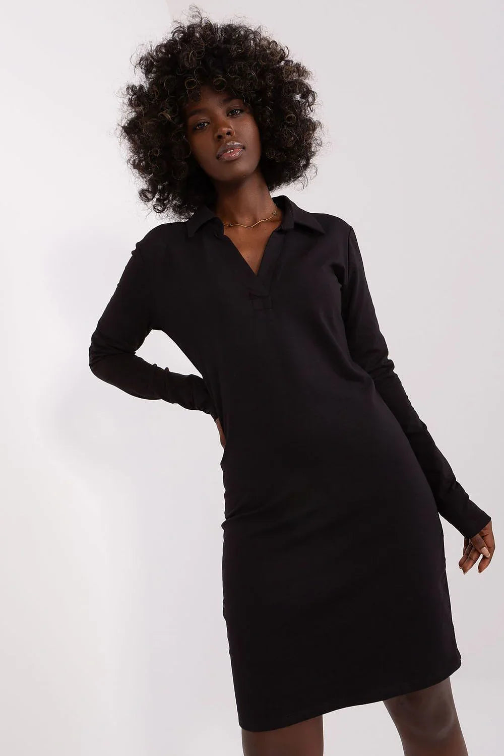 Women's Knee-Length Day Dress – Tailored With Long Sleeves