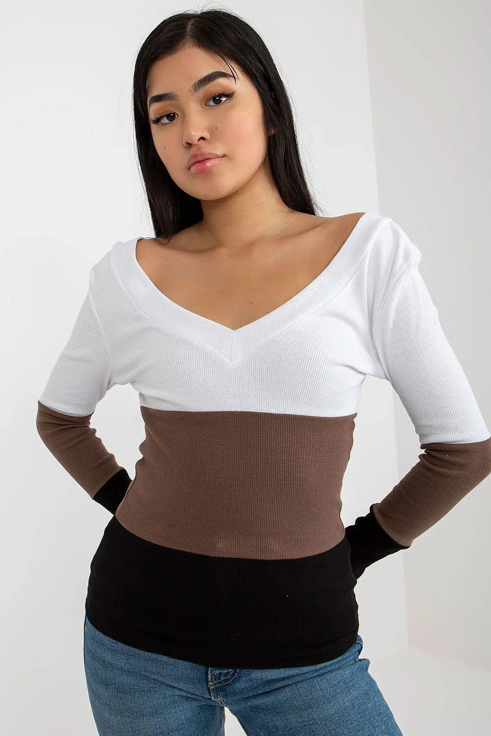 Women's Long Sleeve Blouse - Colorblock Waist Length