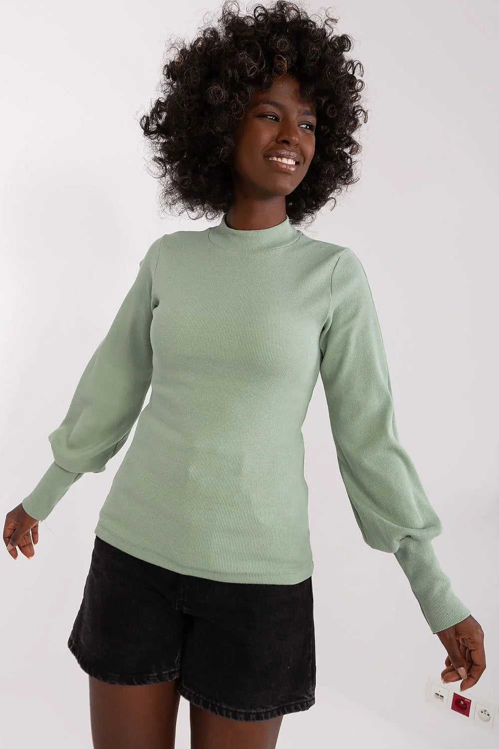 Women's Long Sleeve Blouse - Solid Waist Length