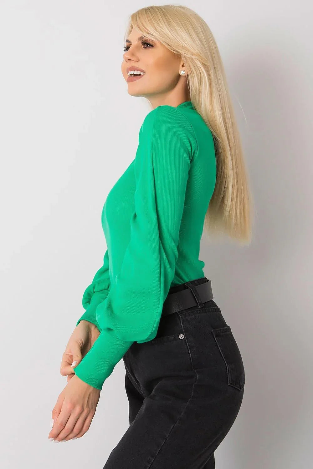 Women's Long Sleeve Blouse - Solid Waist Length