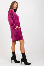 Women's Mini Day Dress – Regular Fit With Long Sleeves