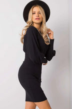 Women's Mini Day Dress – Slim With Long Sleeves