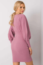 Women's Mini Day Dress – Slim With Long Sleeves