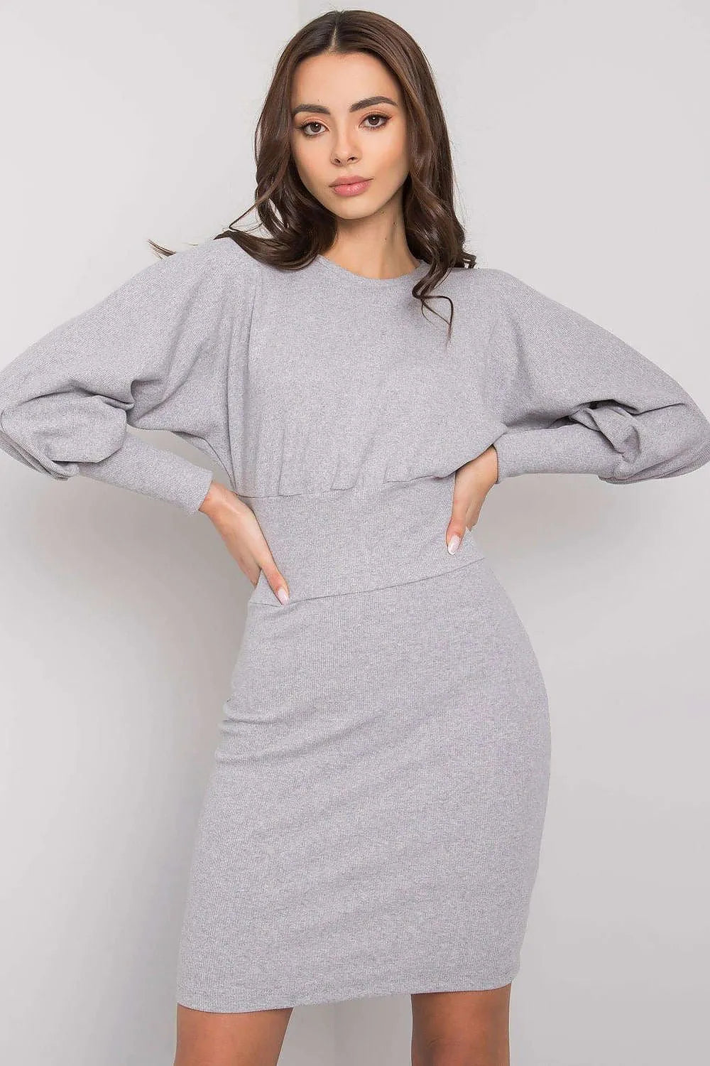 Women's Mini Day Dress – Slim With Long Sleeves