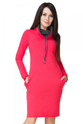 Casual Turtleneck Long Sleeves Day Dress