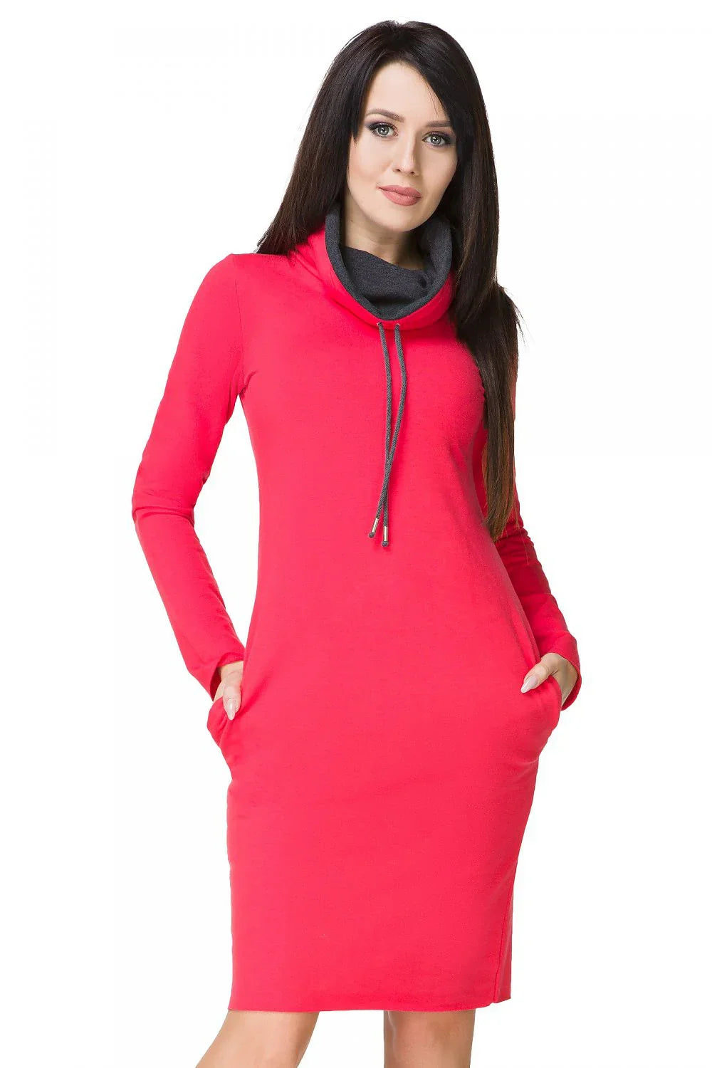 Casual Turtleneck Long Sleeves Day Dress