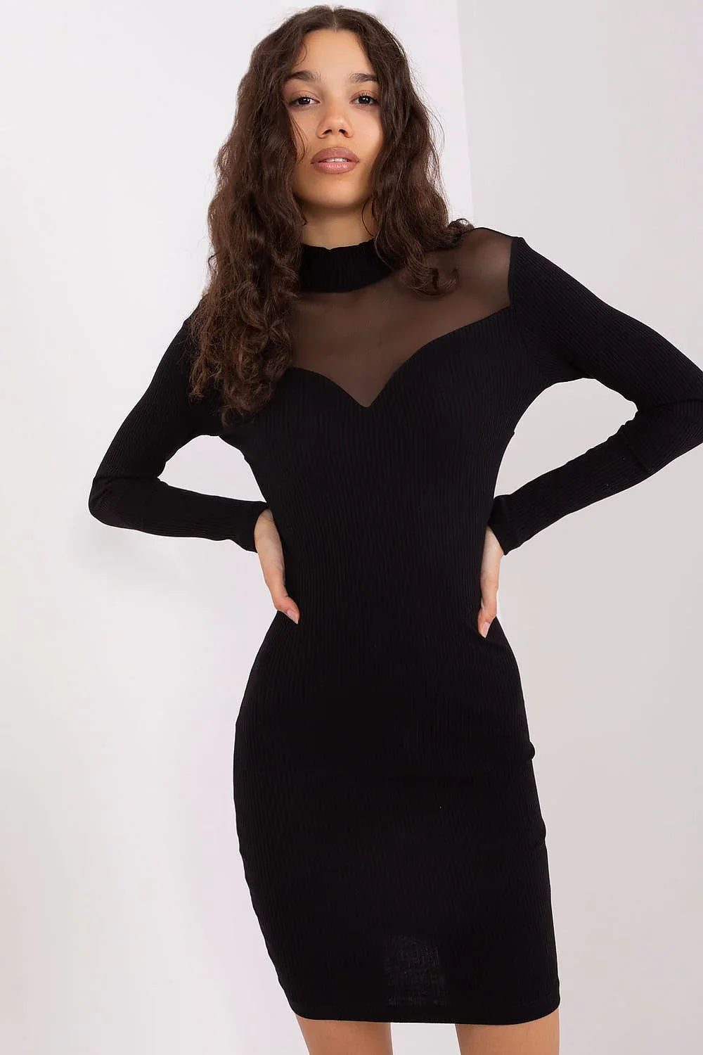 Elegant Crew Neck Long Sleeves Day Dress
