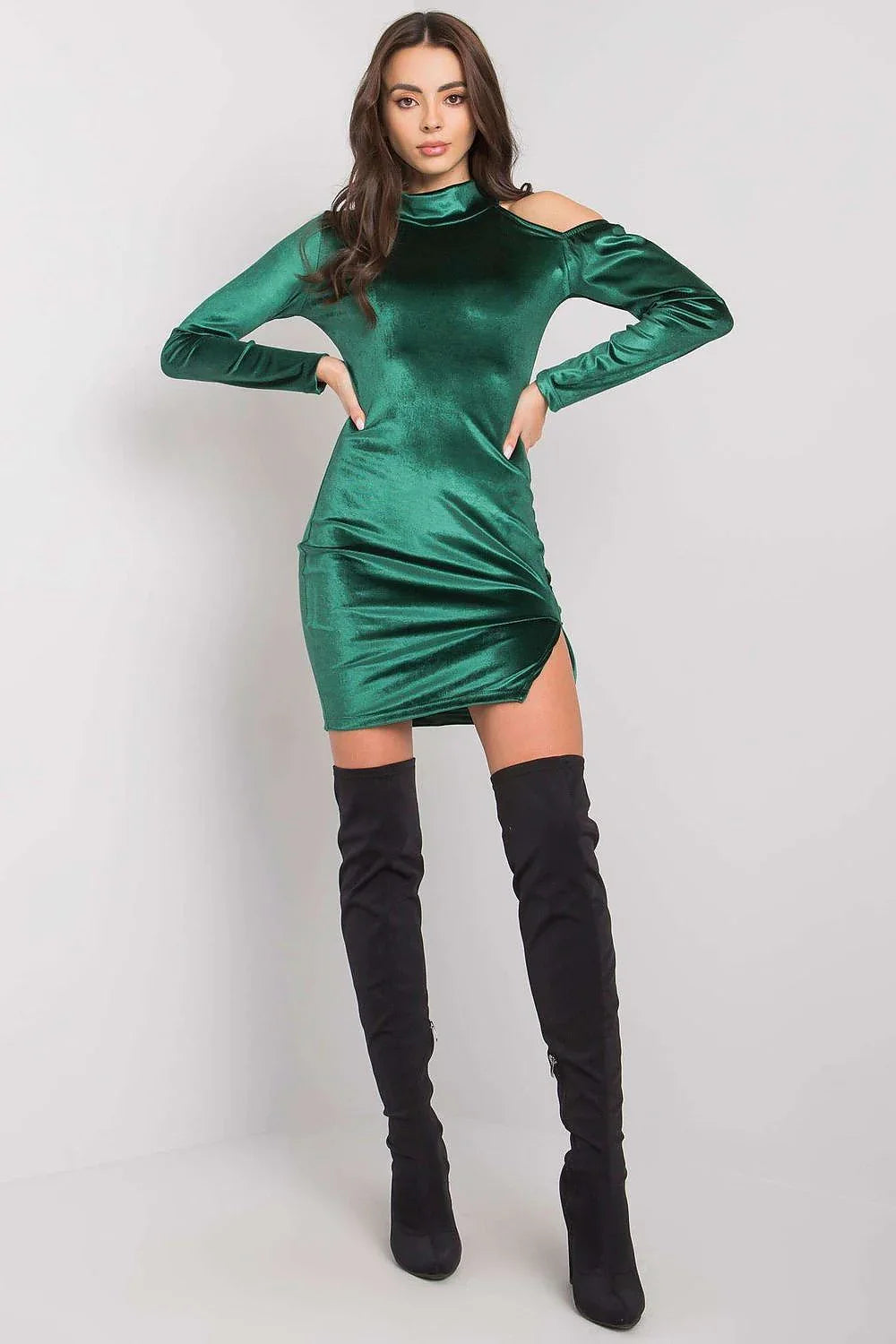 Elegant Turtleneck Long Sleeves Day Dress