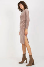Elegant Turtleneck Long Sleeves Evening Dress