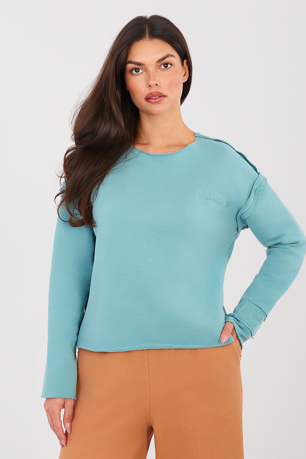 Women's sweatshirt blue alternate shade crew neck front view