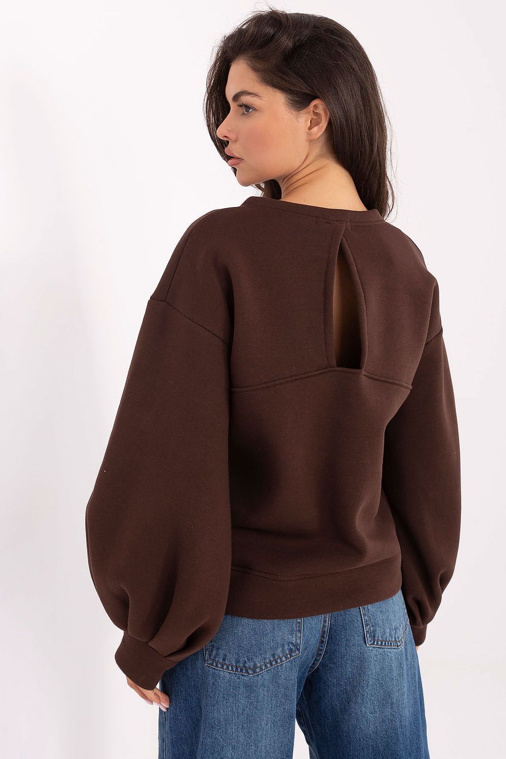 Women's sweatshirt brown embroidered casual look